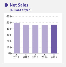 Net Sales image