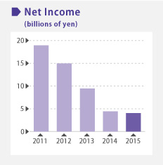 Net Income image