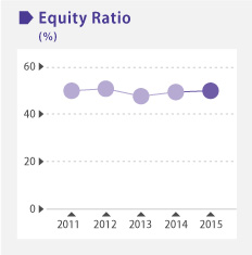 Equity Ratio image