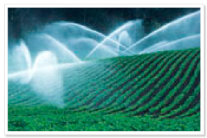 irrigation-image